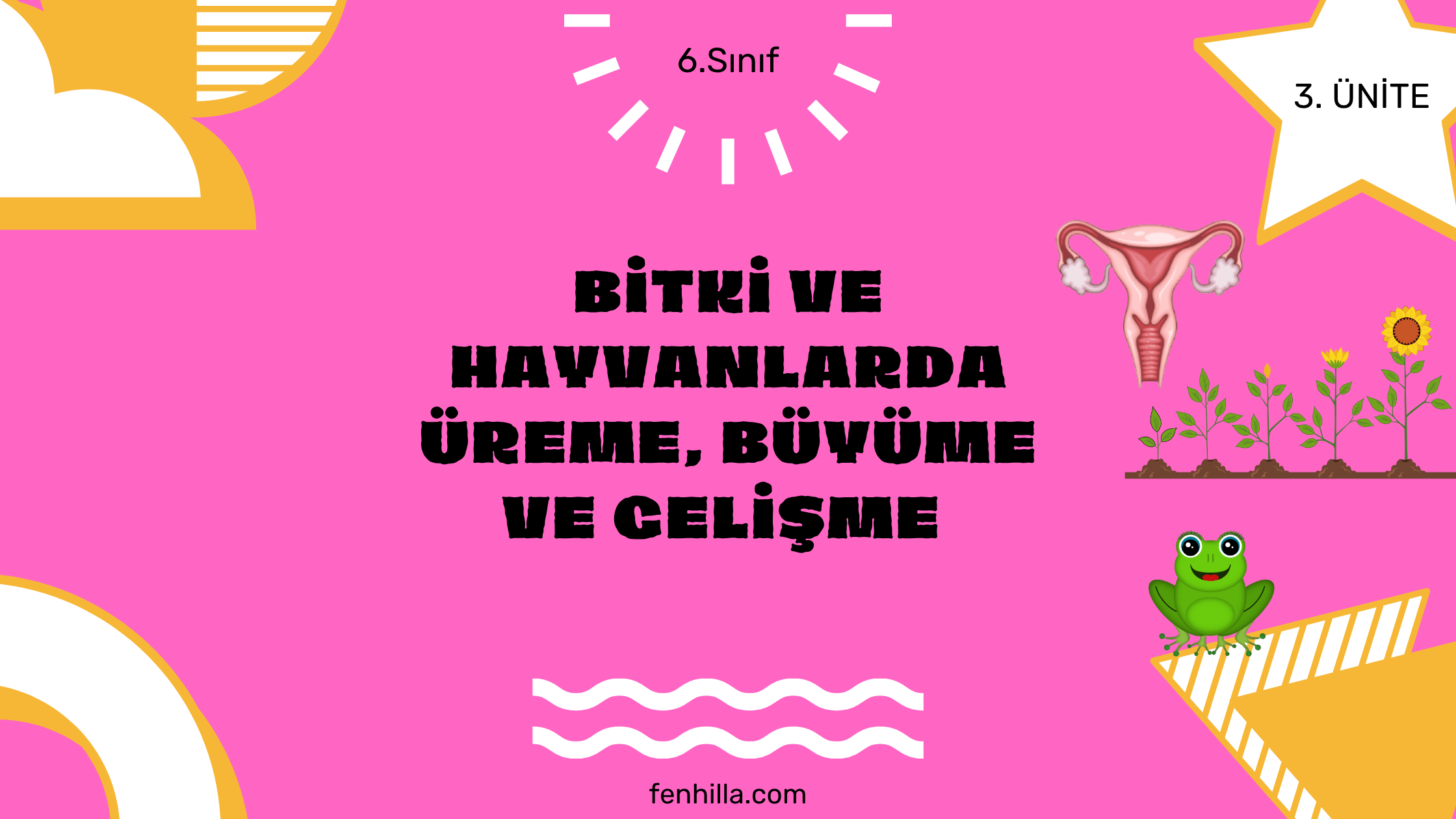 6.Sınıf Bitki ve Hayvanlarda Üreme, Büyüme ve Gelişme Konu Anlatımı